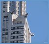 New York-Manhattan 2008 (20)