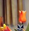 b Februar 2009a