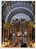 DSC07655 Kopie