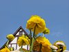 d April 2011