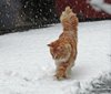 l Dezember 2011