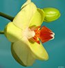 b Februar 2011