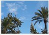 Valencia 2012 (21)