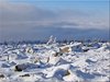 Brocken-Harz 01-2015 (13)
