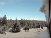 Brocken-Harz 01-2015 (6)