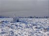 Brocken-Harz 01-2015 (14)
